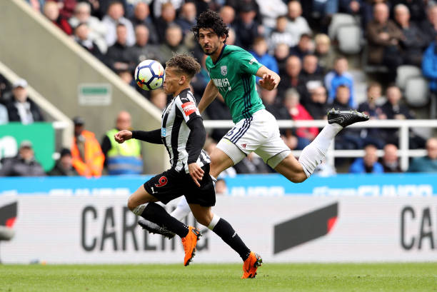 最终输掉了 最终输掉了